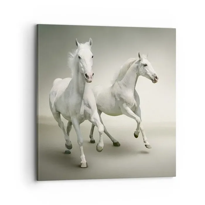 Cuadro sobre lienzo – Impresión de Imagen – ¡Poder blanco! – 70×70 cm