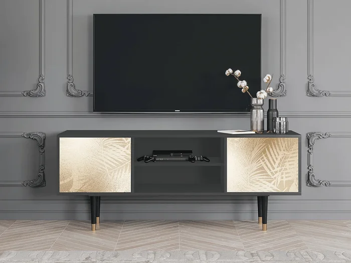 Mueble de TV – 170х69х48 cm – T2 – Plant of the Dessert, Antracita