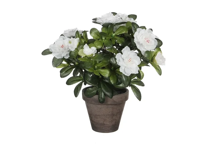 Planta artificial de Poliéster y terracota – 27 x Ø20 – Blanco – AZALEA