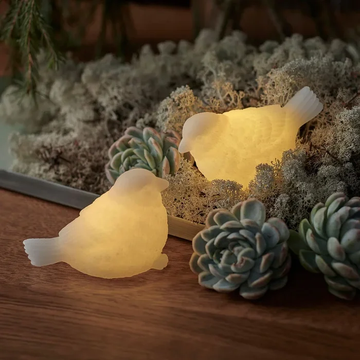 Set de 2 lámparas decorativas LED Sparrow