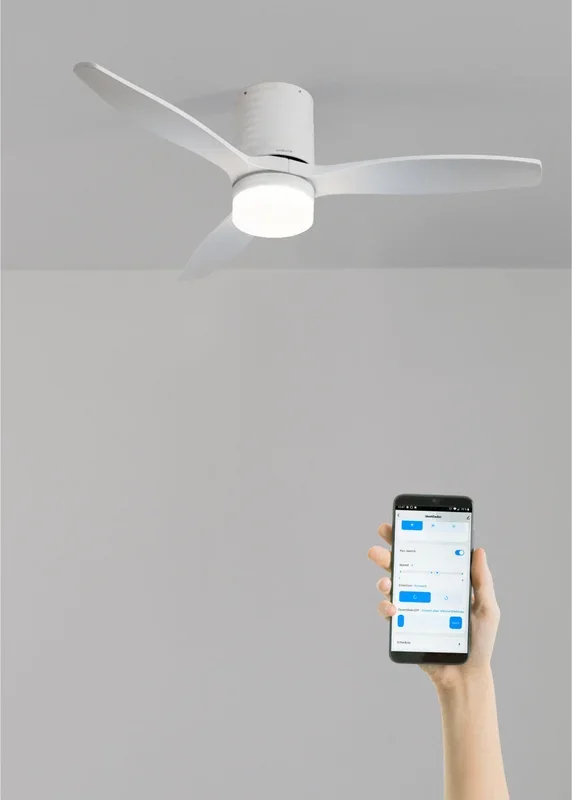 WIND CALM LINE – Ventilador de techo 40W silencioso Ø132 cm 100% madera
